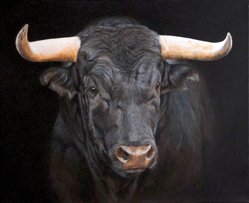 Taurus bull Taurus