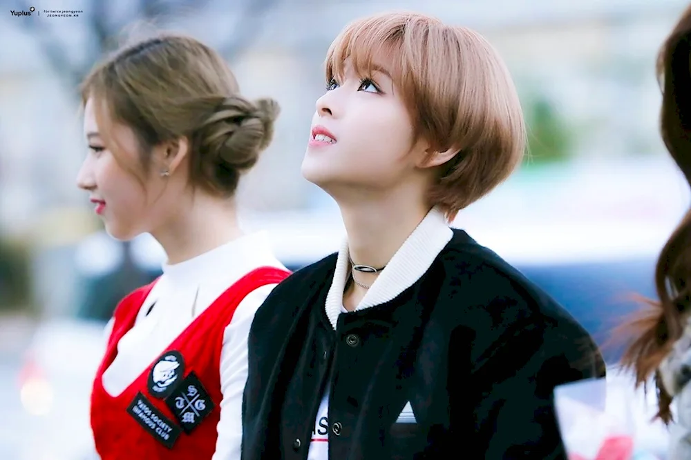 Tae-young Mallet