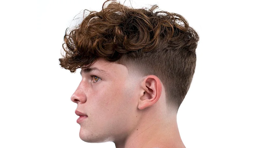 Curly men's hairstyles