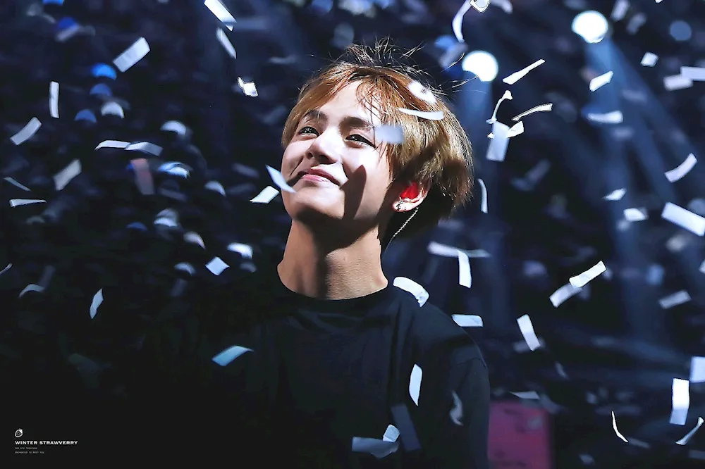 BTS Kim Taehyun