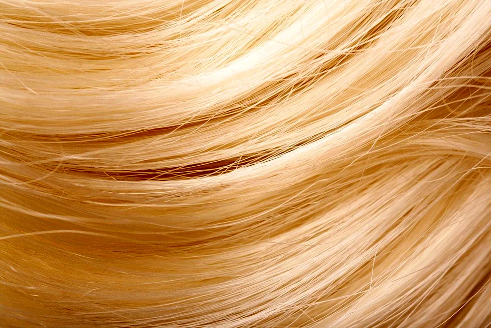The texture of hair