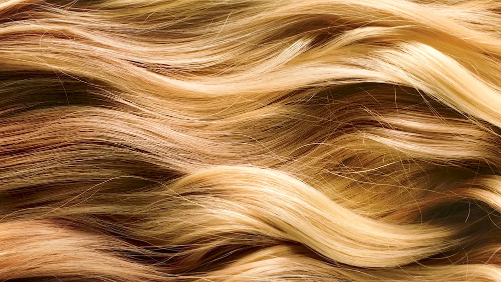Hair texture