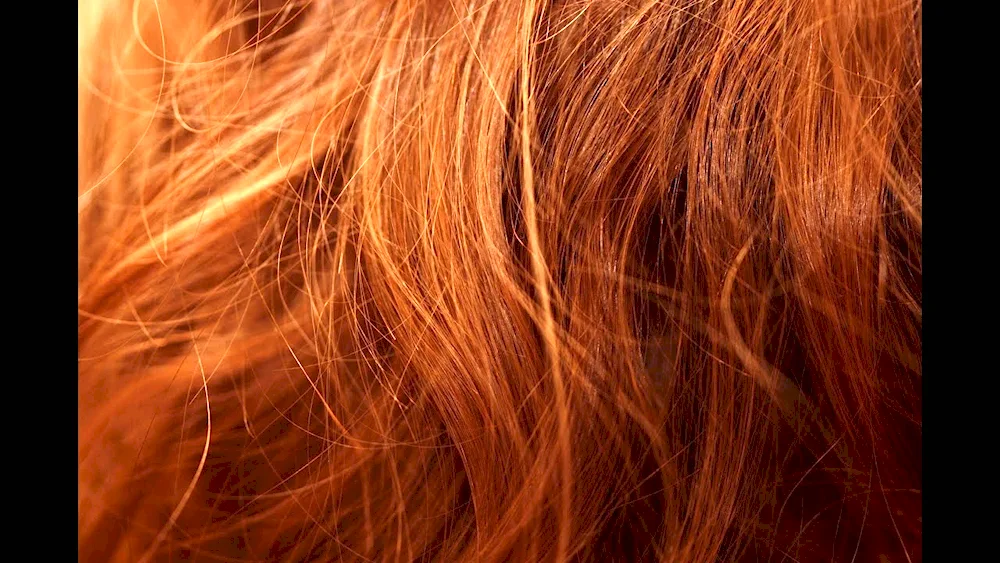 Straw texture