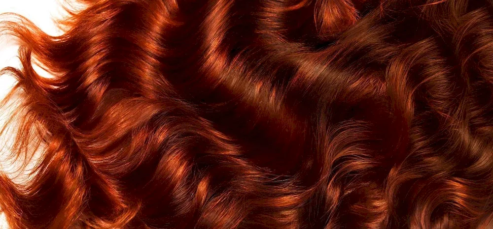 Copper brown mahogany 4. 54