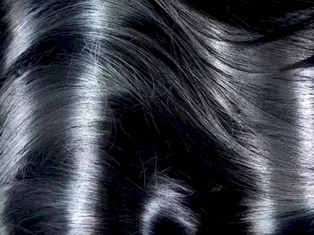 Beautiful highlights