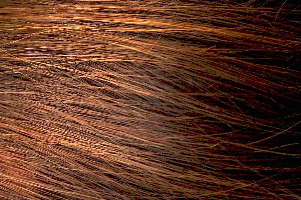 Hair texture