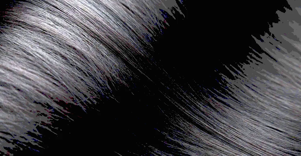 Hair texture