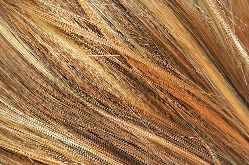 Egg hair