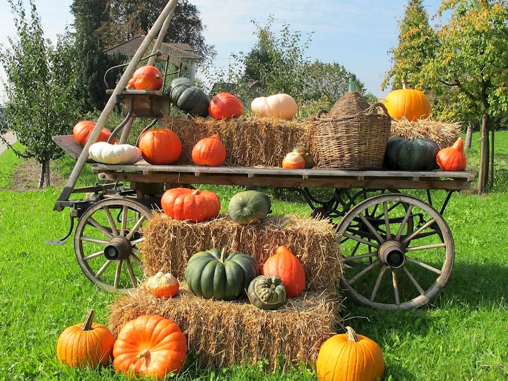 Pumpkin cart