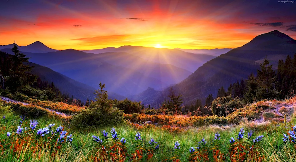 Scenery