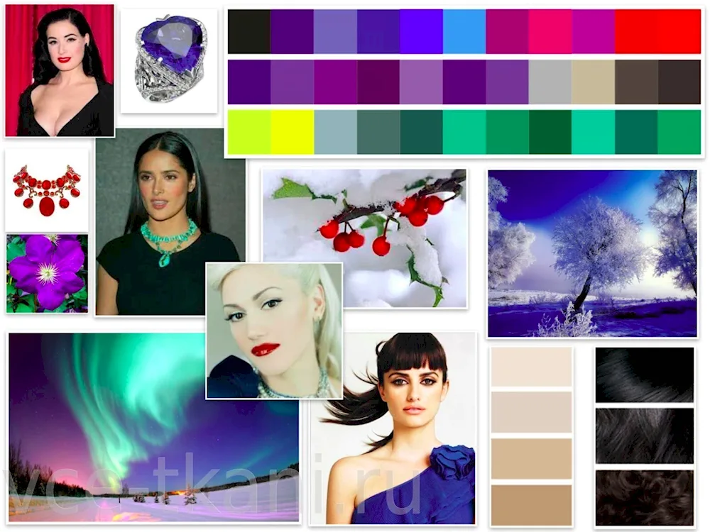 Dark Winter colour type palette