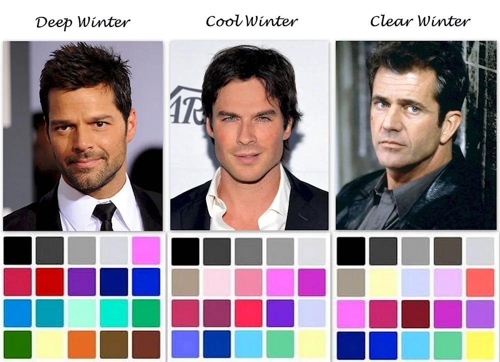 Dark winter colour type palette