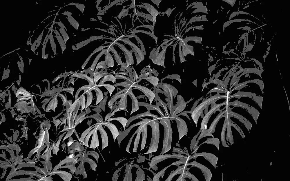 Dark leaves