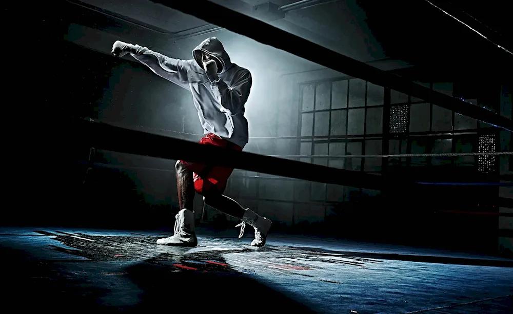 Shadow boxer