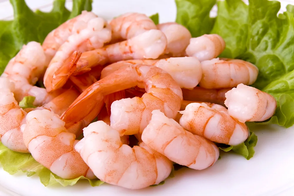 Scampi shrimp