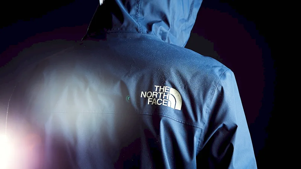 The North face offnik