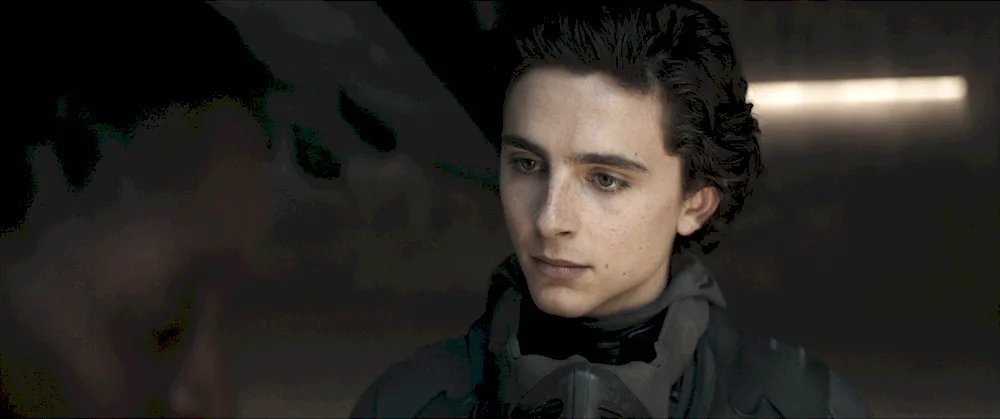 The Promise of Timothee Chalamet