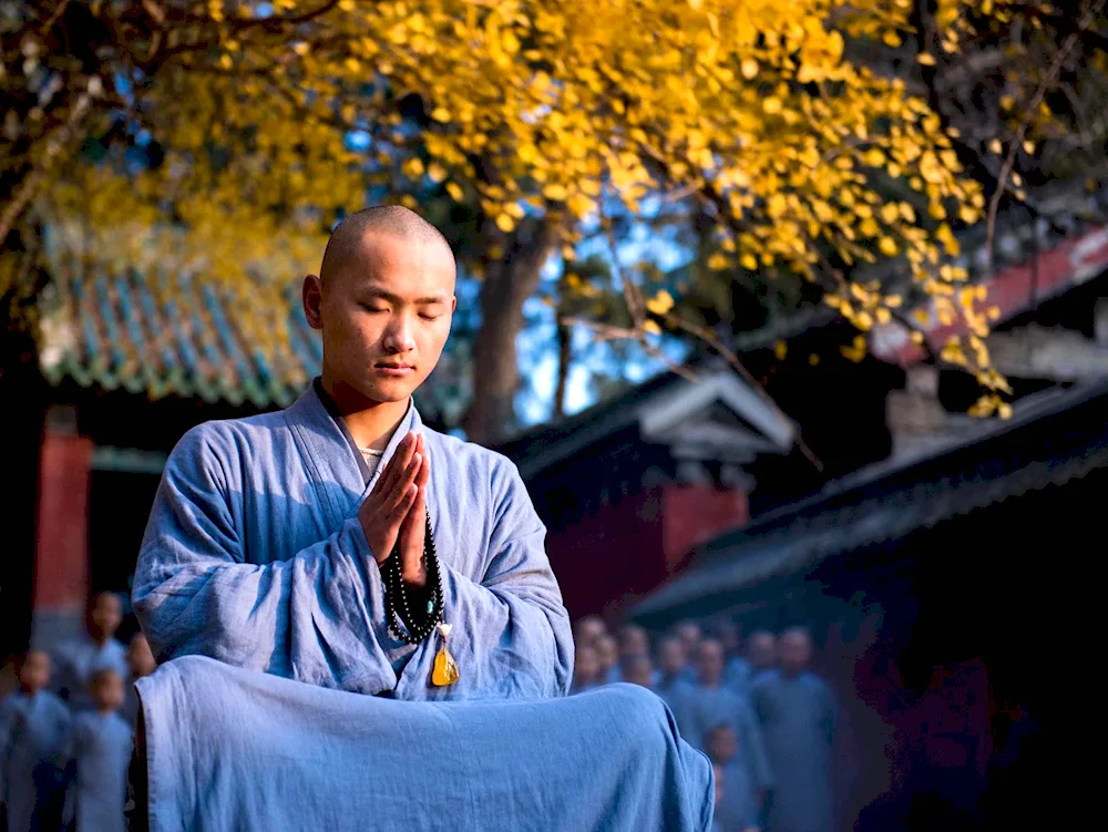 Buddhist wisdom