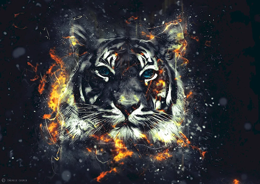 Tiger background