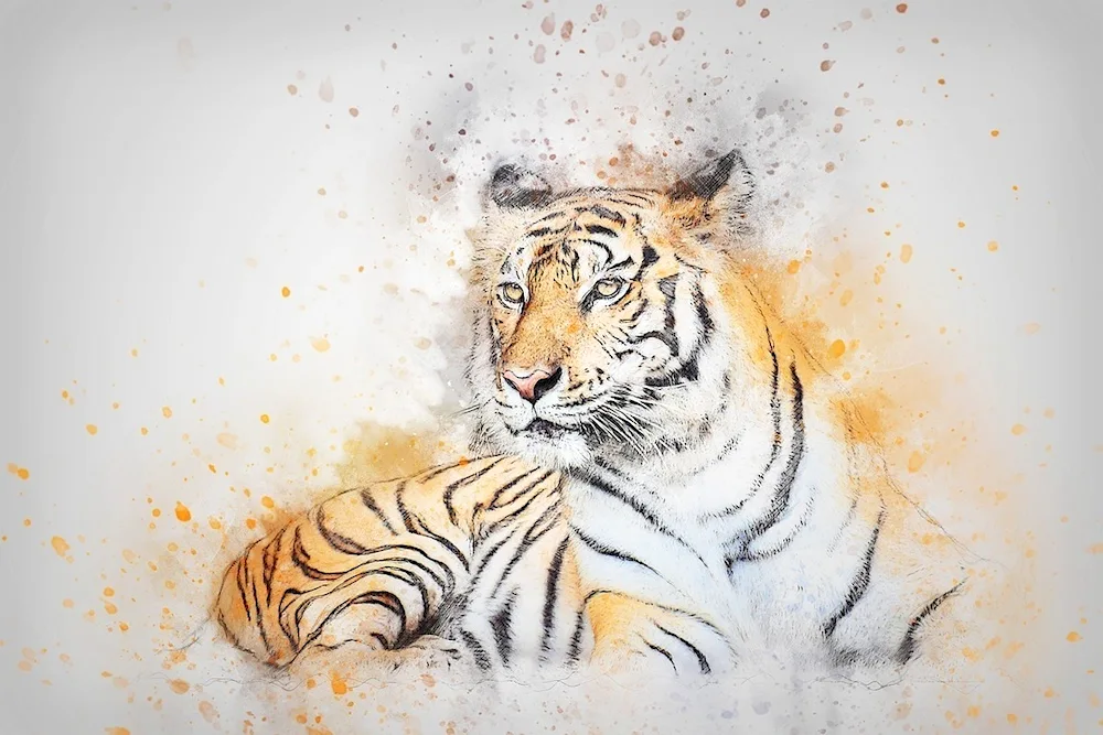 Tiger art