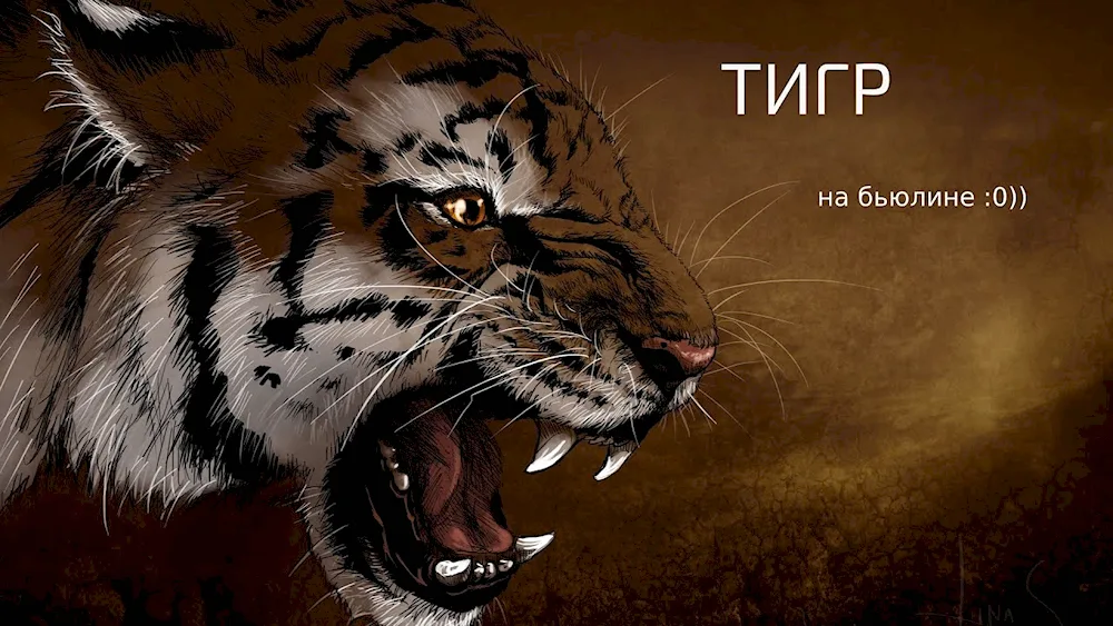 Tiger tiger slash