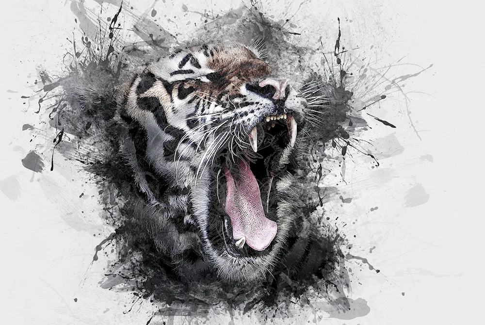Tiger slash full-face tiger slash