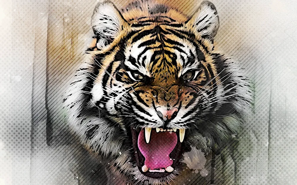 Amur tiger slash full-face tiger slash