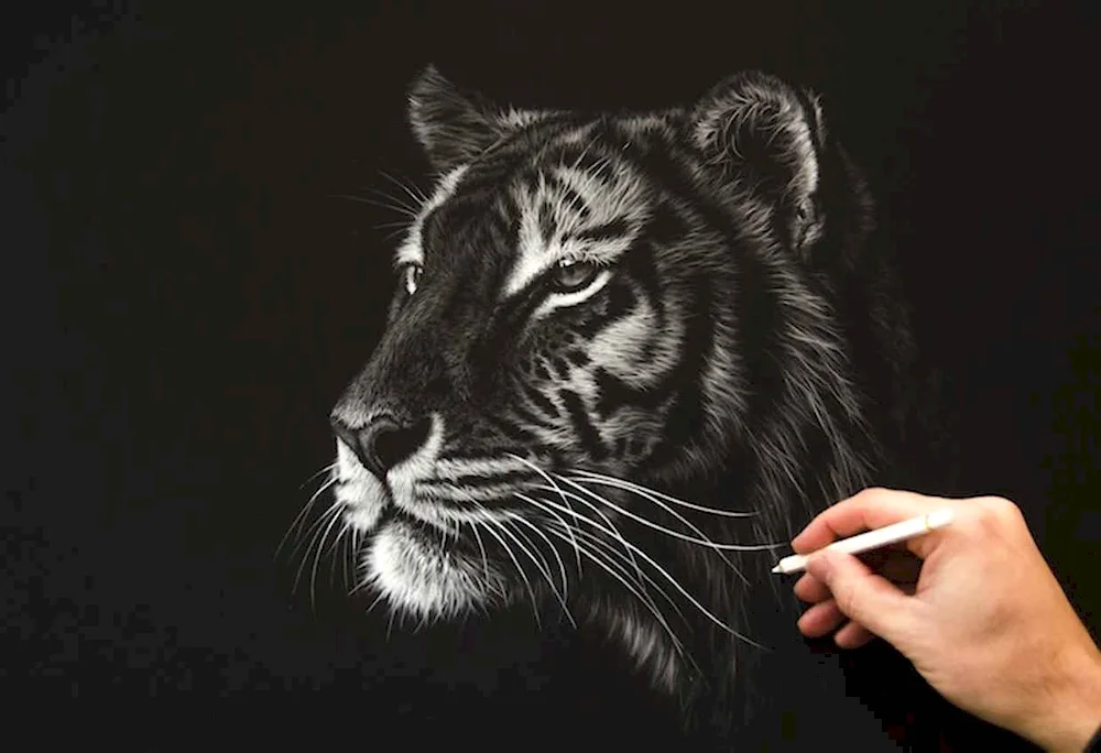 Drawings on black background
