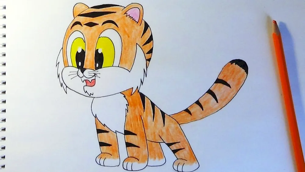 Tiger drawing in pencil