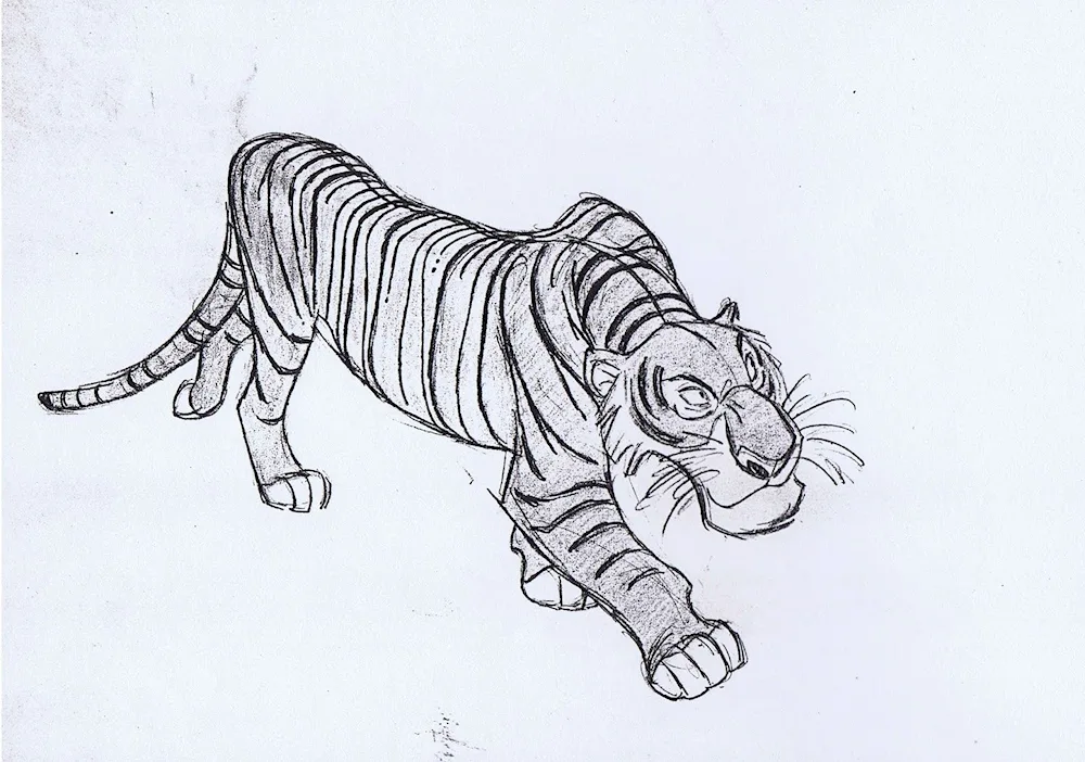 Tiger drawing