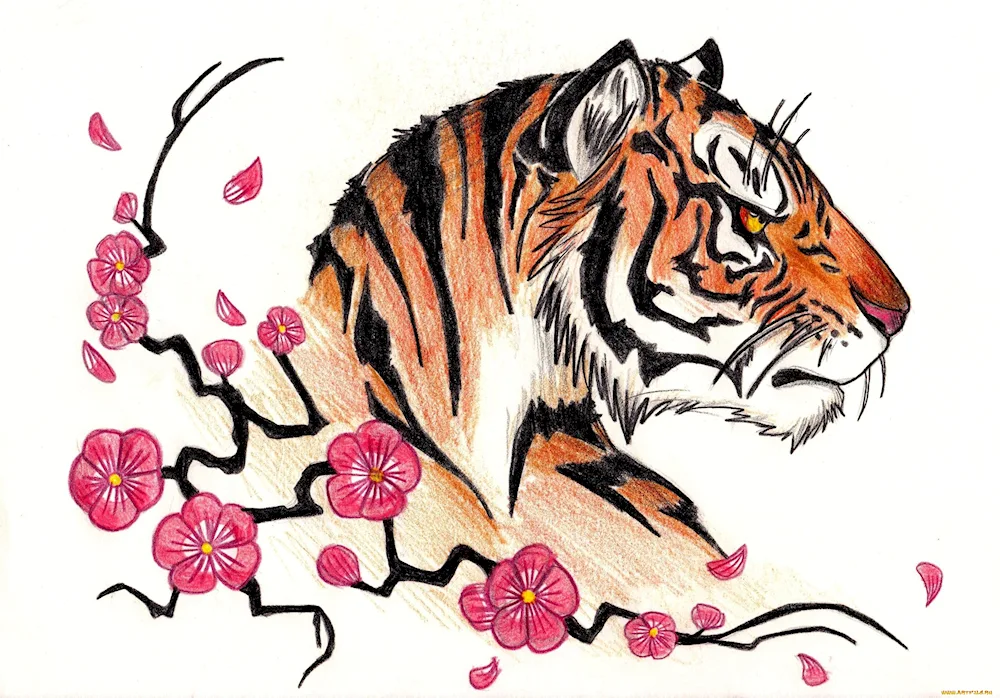 Tiger drawing