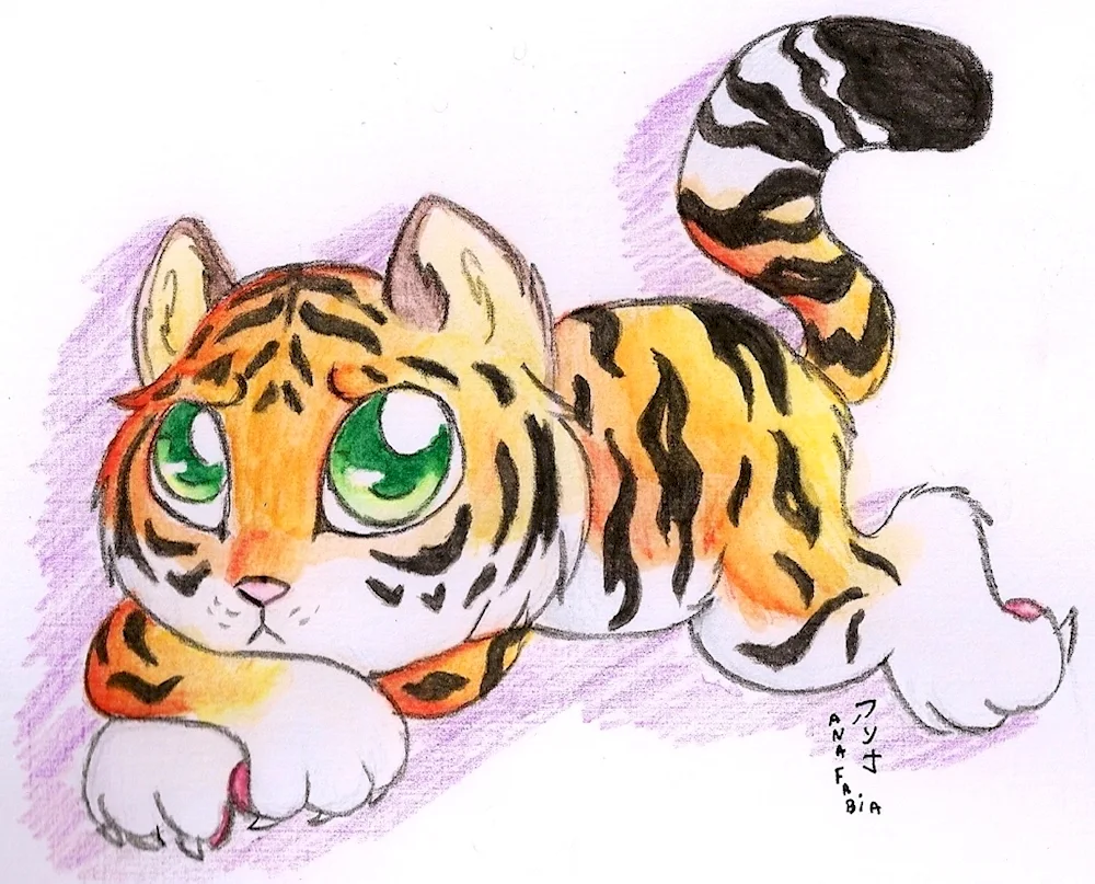 Tiger pictures for drawing