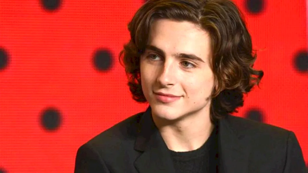 Timothee Chalamet