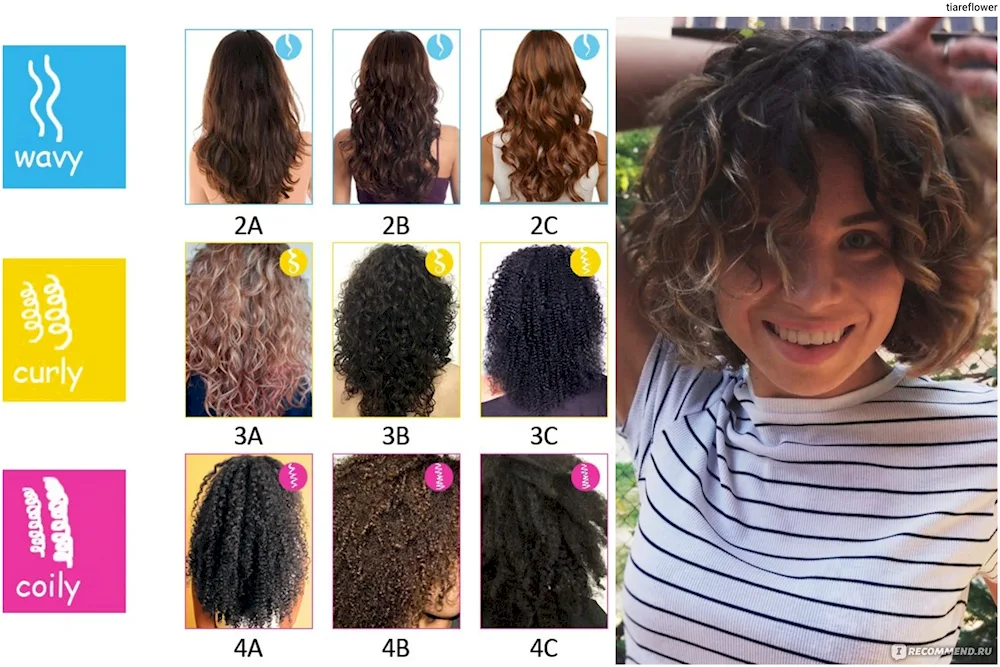 Cascade 2022 for curly hair