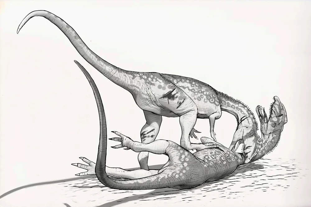 Dinosaur colouring Brachiosaurus