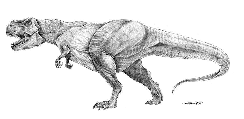 Tyrannosaurus rex for kids