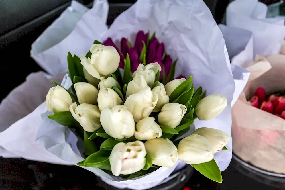 Tulip bouquet