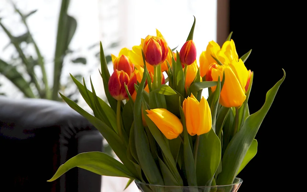 Tulips in a vase