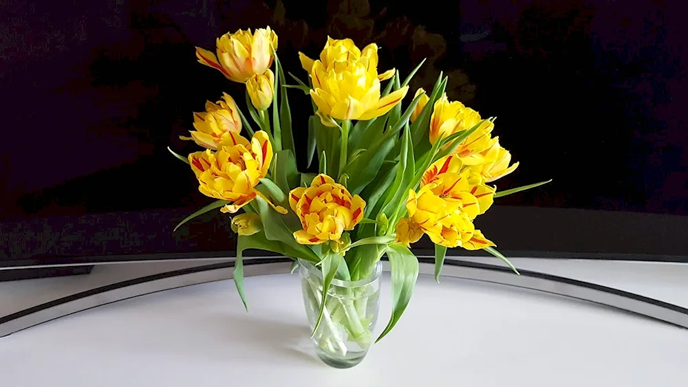 Tulip bouquet