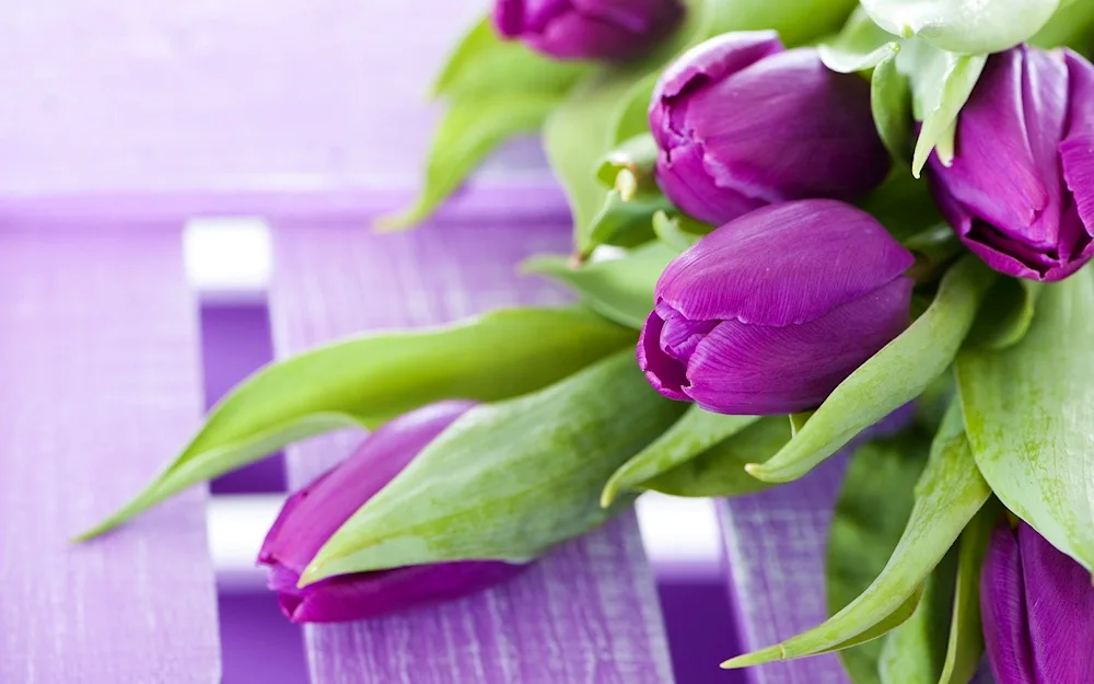 Purple bouquet