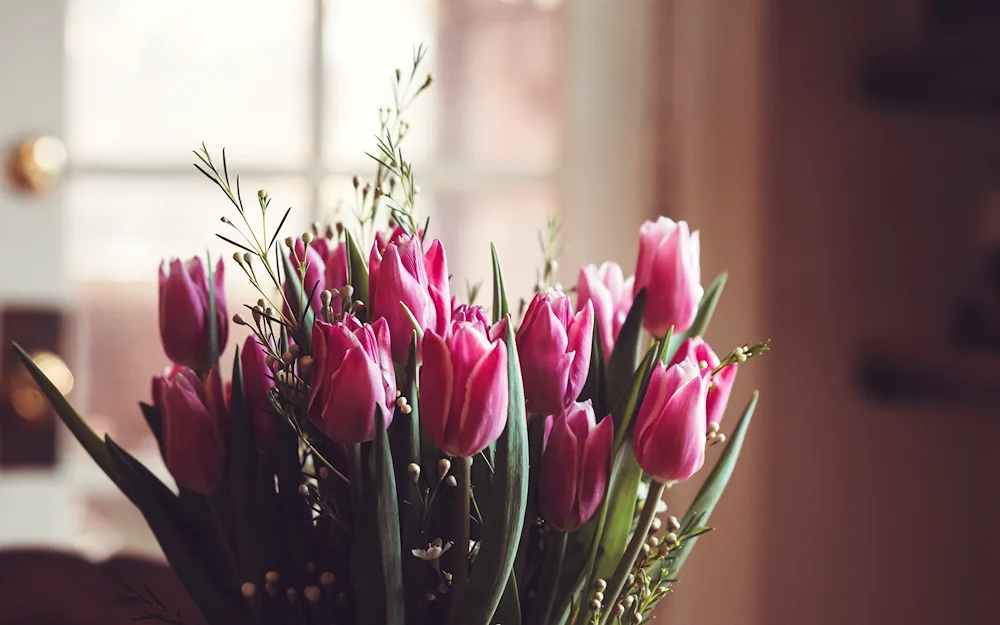 Tulips wallpaper