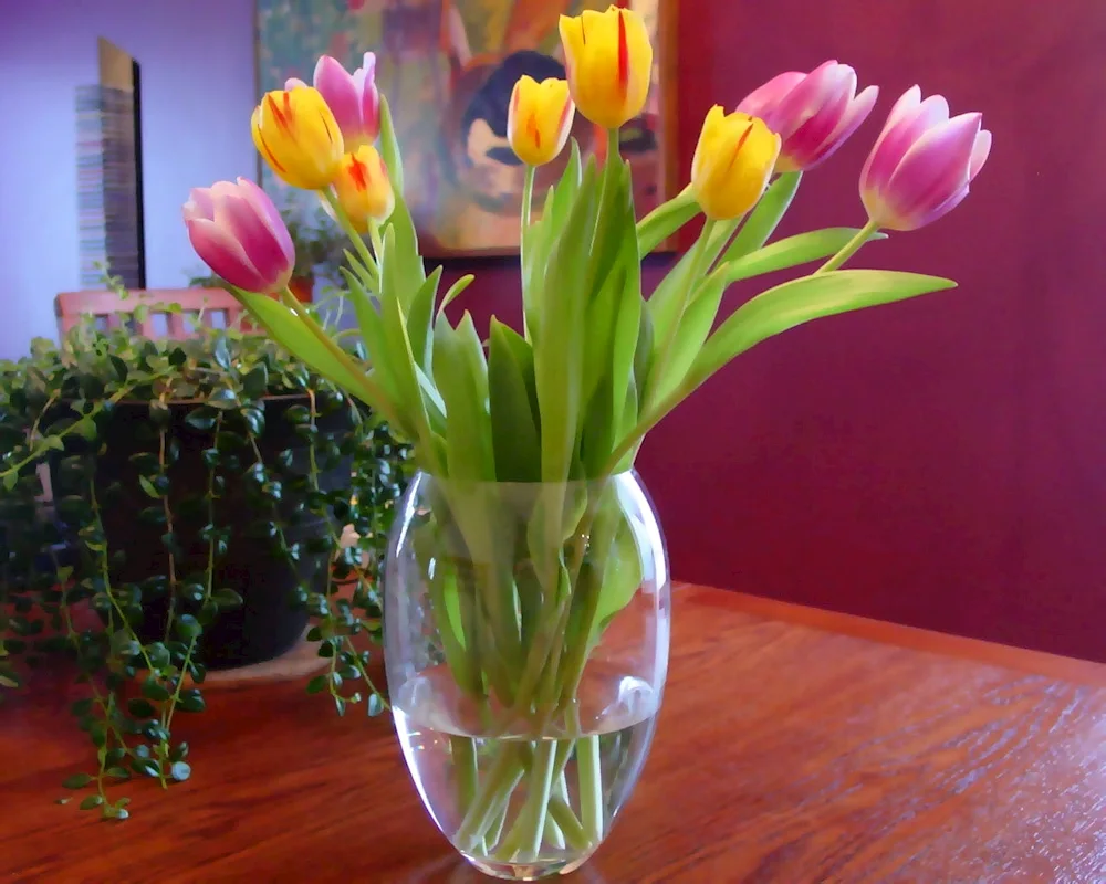 Tulips in a vase