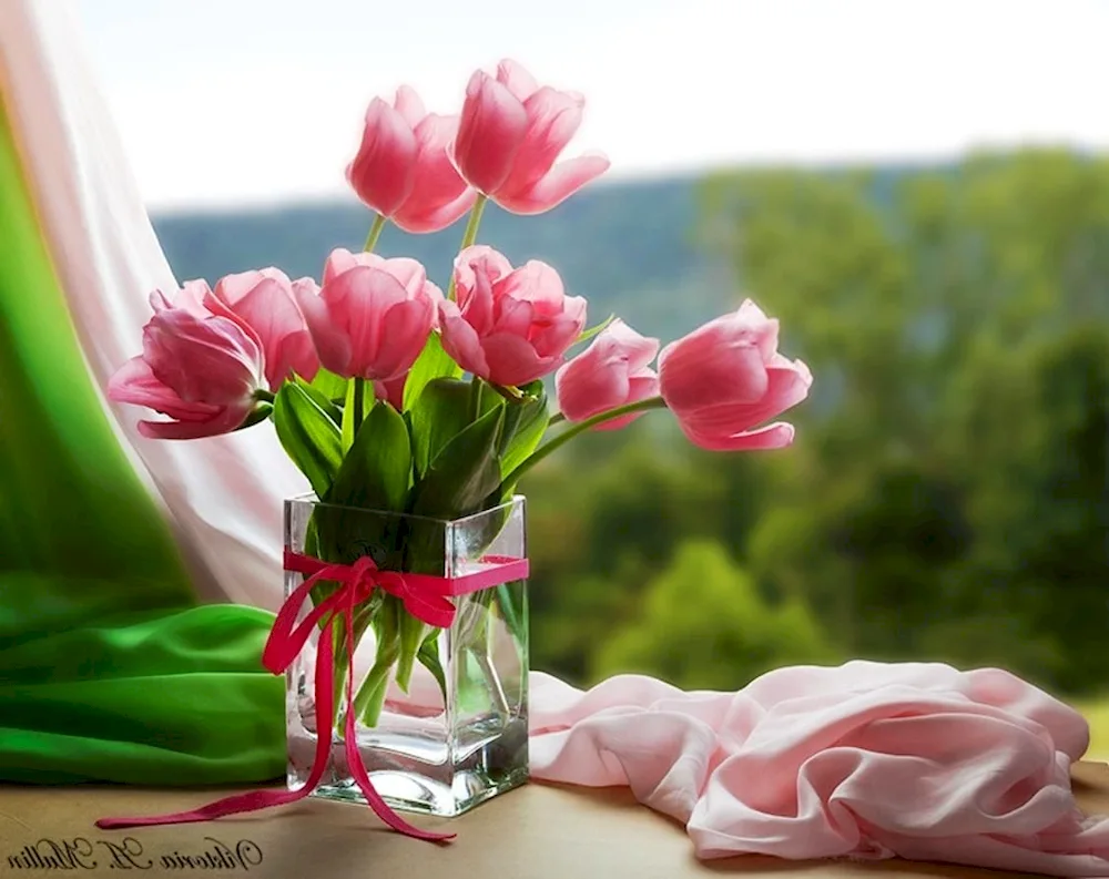 Tulips in a vase