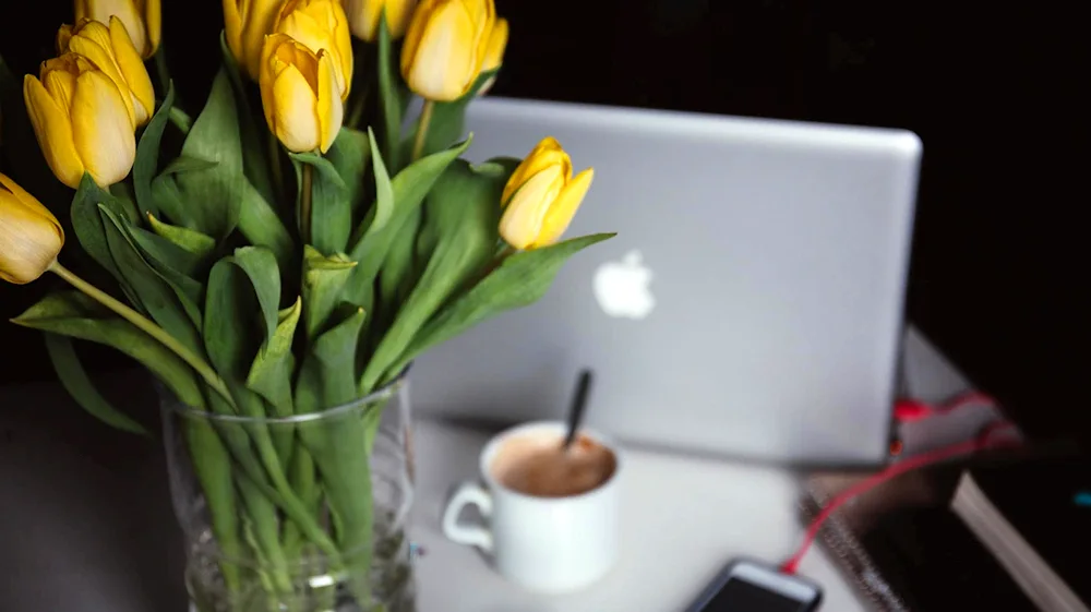 Tulips in a vase