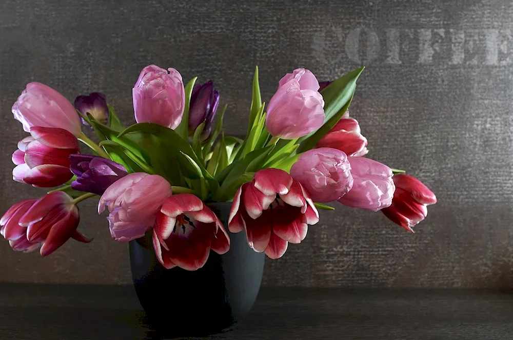 Tulips in a vase