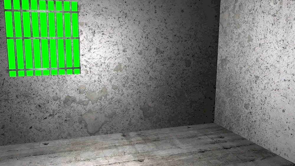 Green screen prison