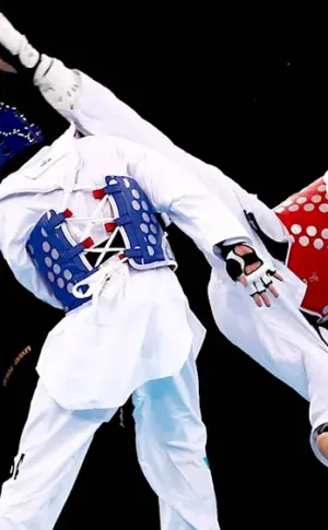 Taekwondo WTF Olympic sport