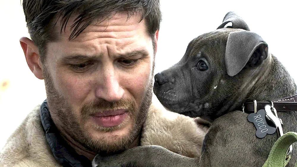Tom Hardy