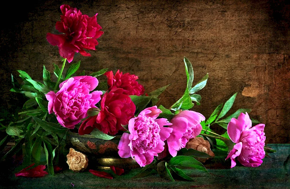 Thomas Darnell Peonies