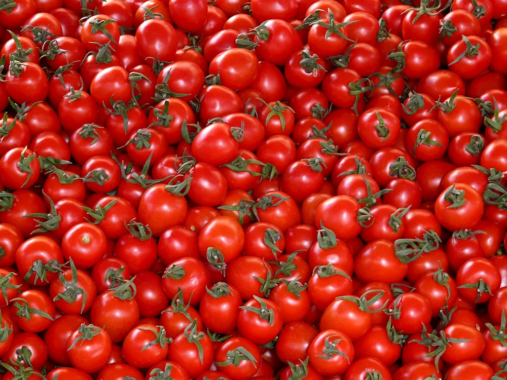 Tomato Athol